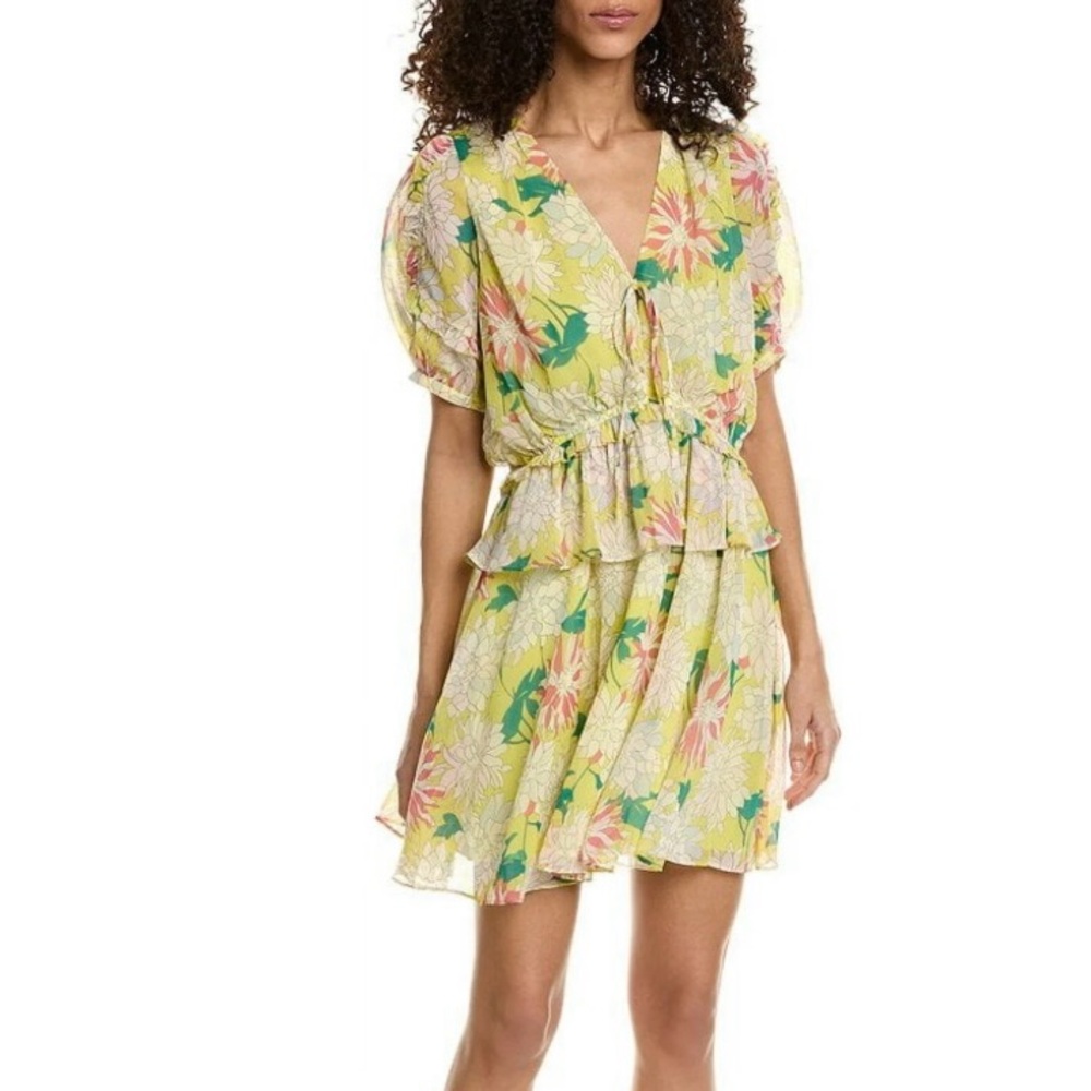 Ted Baker Floral V-Neck Dress